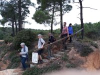 2018-11-12 14.48.35 (Grand)